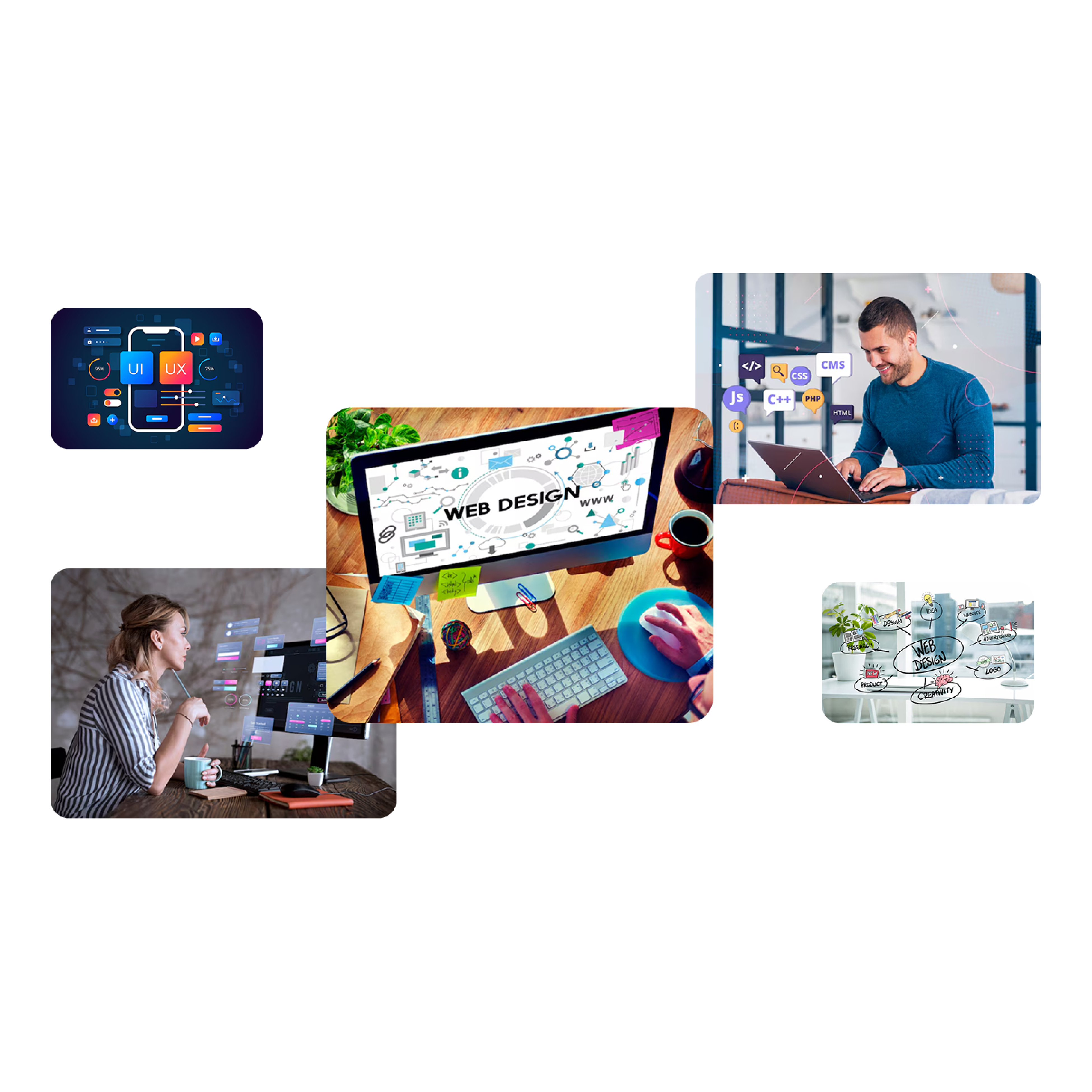 website design and development